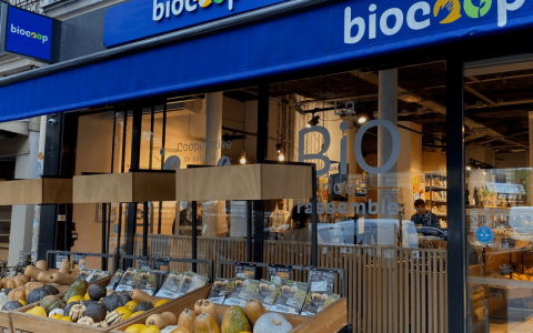 探索全球有机食品趋势与国内优选平台推荐