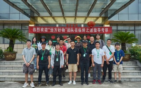 如东有机海苔：探秘滩涂美食的香脆之源