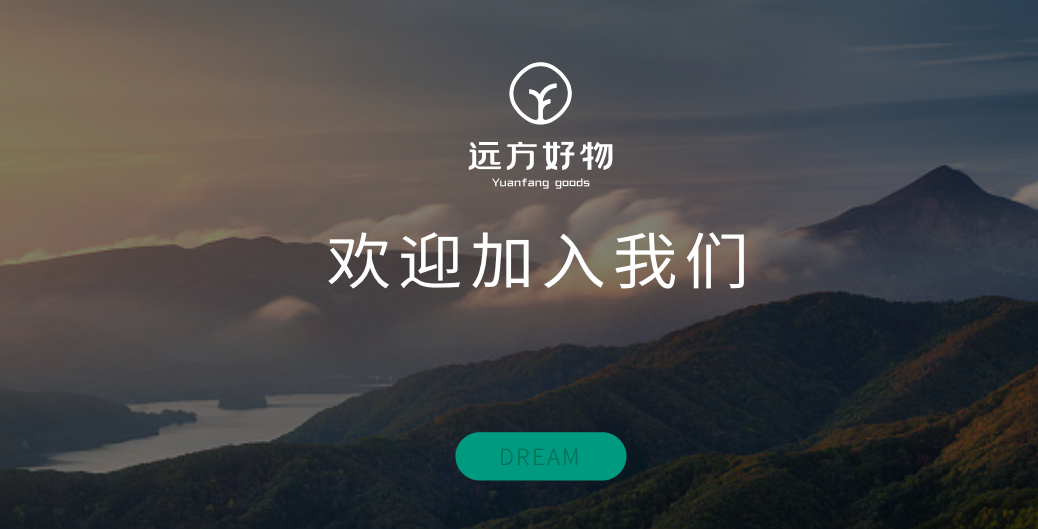 远方好物平台优势解析：十年公益电商供应链创新模式插图10