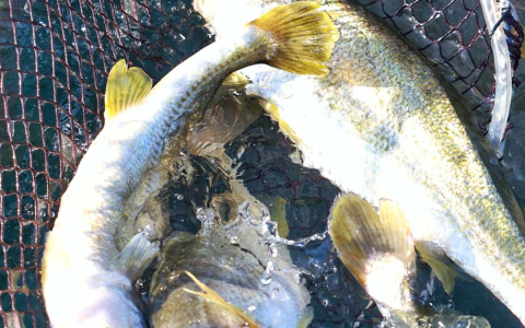 远方好物：确定性里的安心与温暖