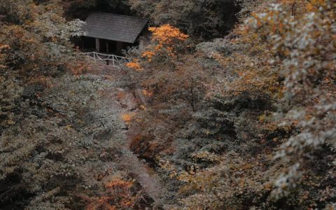 建筑师转行选择远方好物的心路历程与价值追求