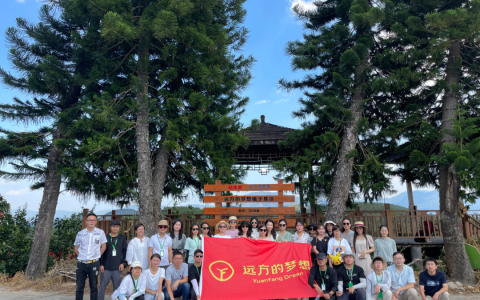 平和琯溪蜜柚树上鲜甜如画