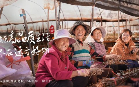 高黎贡山石斛原浆：探秘珍稀植物生长秘境