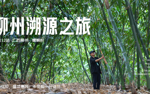 远方好物独创0防腐剂螺蛳粉 全产业链匠心打造