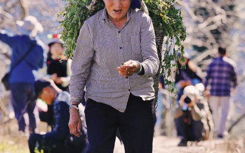 成都色彩之旅：探寻天府之国的红与火