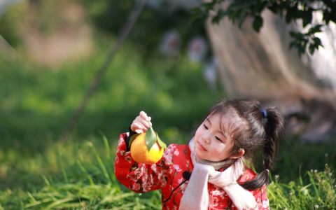 四川眉山丹棱耙耙柑溯源探味之旅