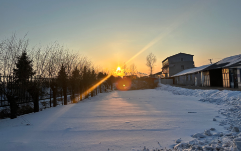 想真青汁粉助你春节后健康回归