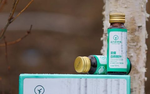 桦树汁神奇奥秘：消炎抗疲劳疏肝解郁功效解析