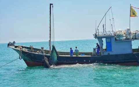 远方地毯会：传承电商智慧，掘金私域流量新篇章