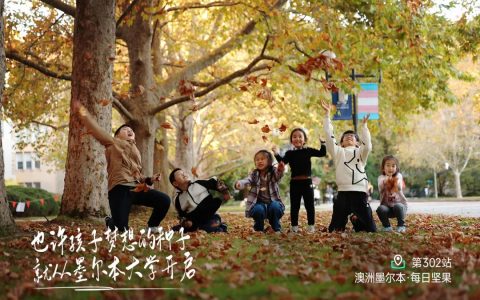 从行政到远方追梦人我的营养学转型之路