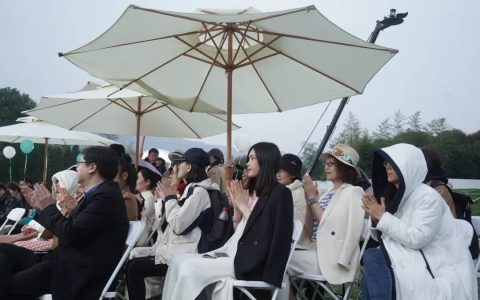 狮峰龙井问茶记：探寻绿茶之首的传奇与非遗传承