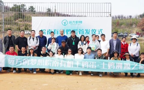 韭菜农残标准提高25倍 用户焦虑农户受益 食品安全如何保障