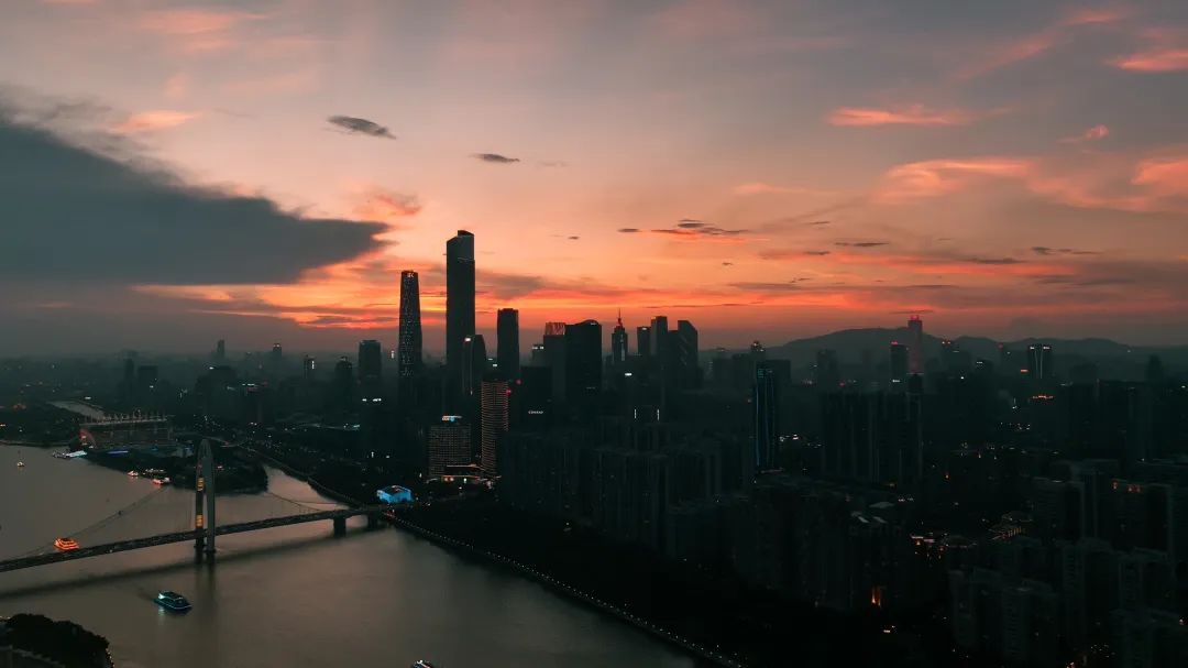 远方好物会员开放日精彩记录与未来趋势分析