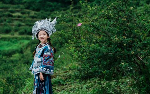 贵州刺梨信仰：吴总与紫色土壤的刺梨产业传奇