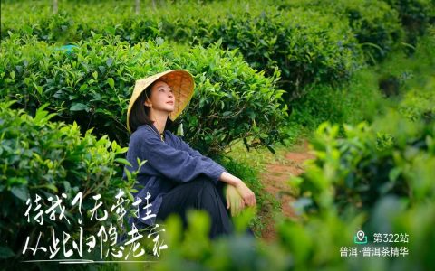 有机食品市场潜力巨大 未来供应充足吗