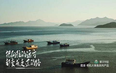 带611个孩子探秘山海世界，见证成长奇迹