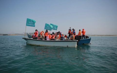 揭秘烟台底播海参溯源之旅 揭晓健康好海参如何选