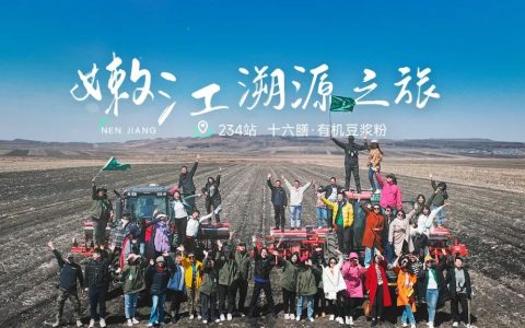 伊春白桦林溯源之旅：体验纯净桦树汁与自然之美