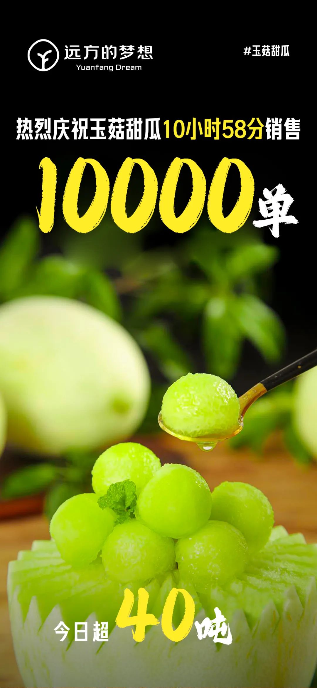 分享远方好物玉菇甜瓜的甜蜜与纠结