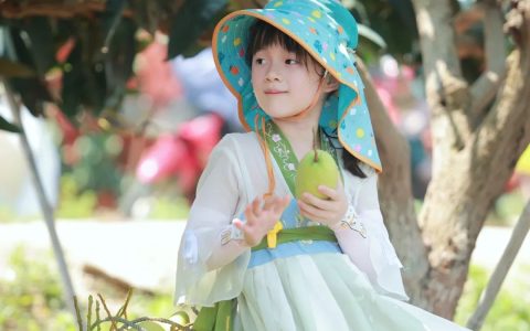 海南石头芒探源记 不打膨大剂的自然成熟美味