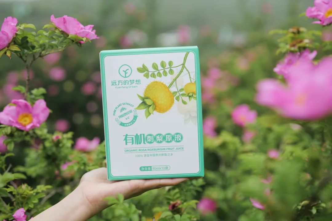 毕节刺梨：维C之王SOD之王的健康宝藏