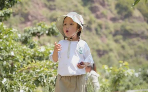 毕节刺梨溯源之旅：探秘花海与有机健康