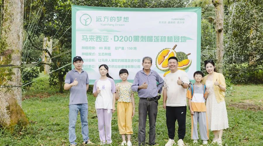 远方好物商业模式创新与未来趋势深度解析