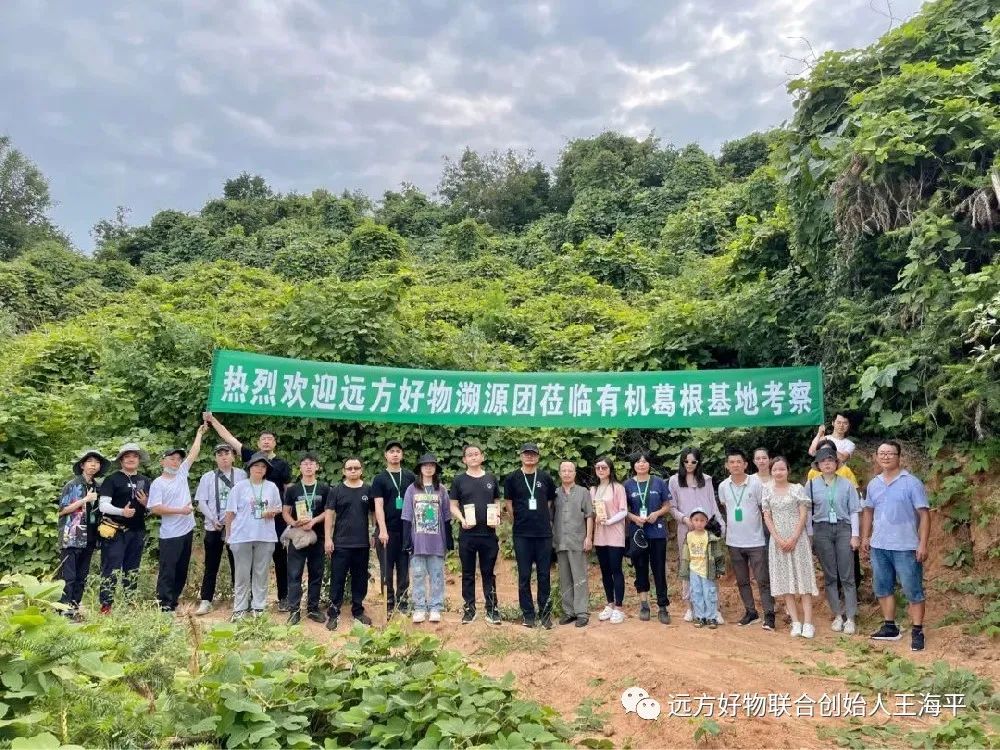 远方好物商业模式创新与未来趋势深度解析