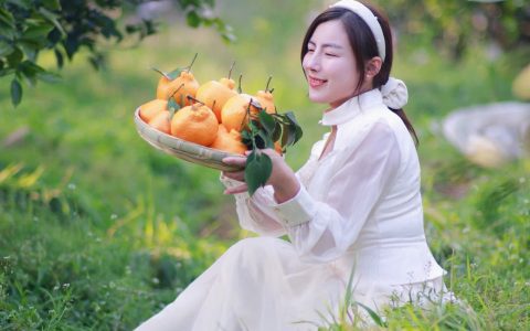 远方好物平价守护餐桌安全有机产业新出路