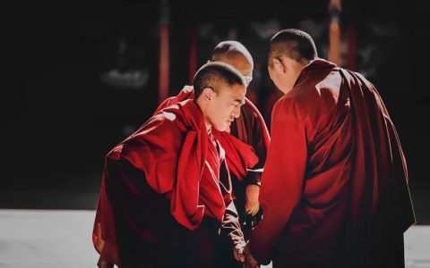 揭秘玉树野生虫草真谛与鉴别方法