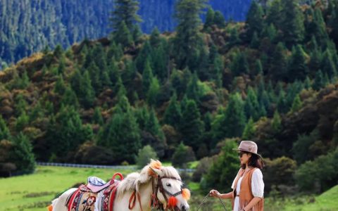 雪山林芝灵芝溯源之旅探秘雪域山河灵魂对话