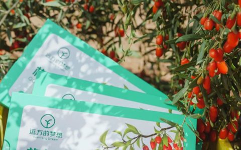 中宁道地枸杞原浆：百年验方养气血黑发驻颜