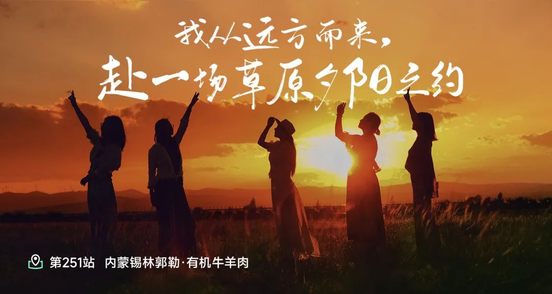 正镶白旗十万亩草原牛羊自由生活记