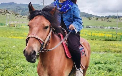 十年健康管理师转型记：远方好物助力守护三代人健康