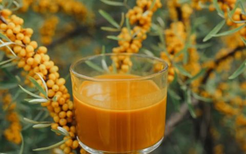 沙漠之花创始人胥老：二十余年坚守沙棘梦的奋斗传奇