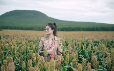 珍惜溯源铁军守护食安传递爱与健康