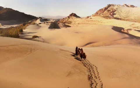 赤峰溯源之旅：探秘内蒙新零售与羊绒产业深度考察