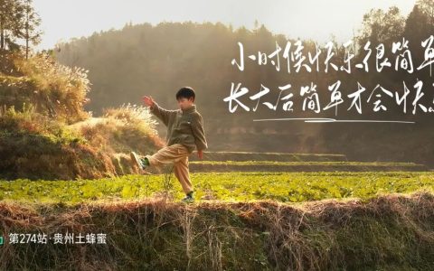 冻干鹿血粉抗疲劳功效揭秘