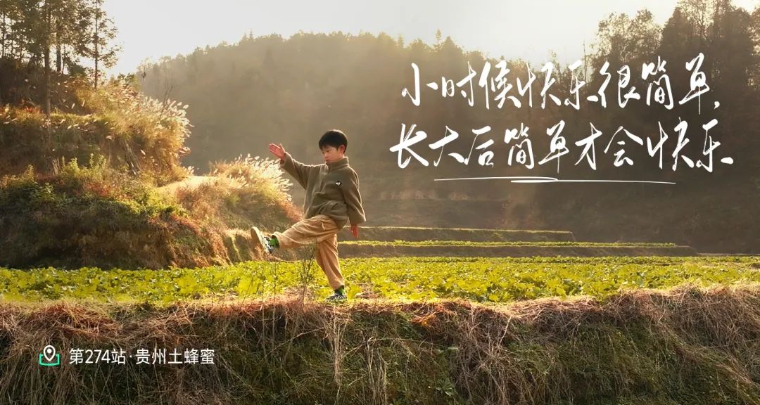 分享鹿胶的四大理由和女性保养秘籍