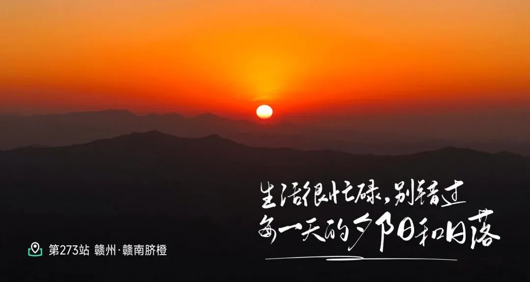 赣南脐橙探源：揭秘王者橙的传奇与有机坚持