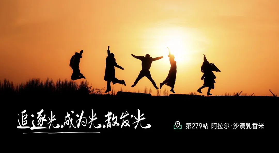 024新疆阿克苏驼奶探源记：从沙漠到王国追逐骆驼梦"