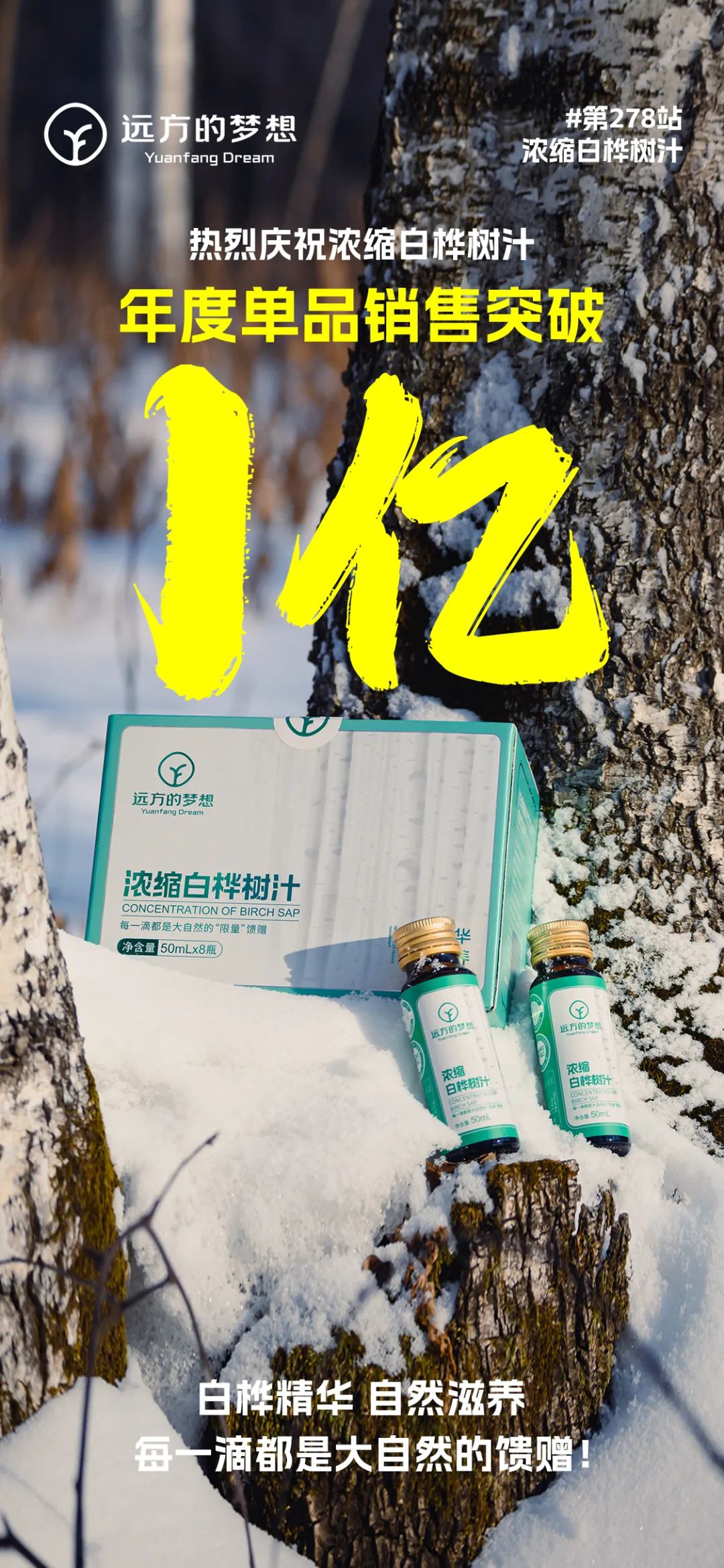 白桦树汁年度销量破亿 创行业奇迹引领健康新风尚