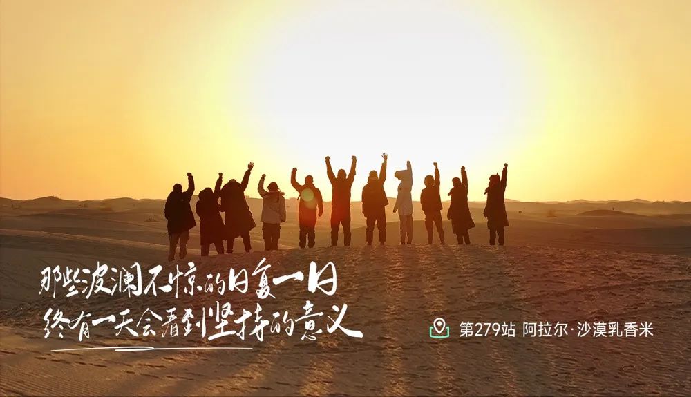探索新疆野骆驼与神奇驼奶的营养奥秘