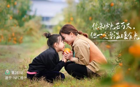 可仕可橙汁：揭秘顶流背后的家族传承与商业智慧