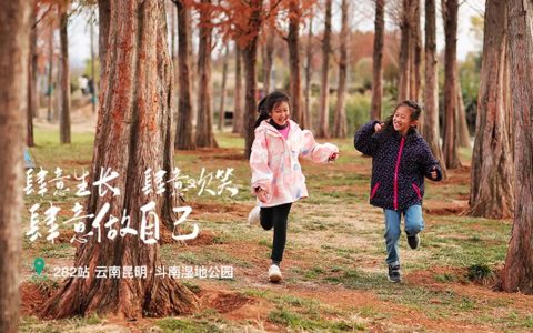 昆明高原有机蔬菜鲜甜营养探秘