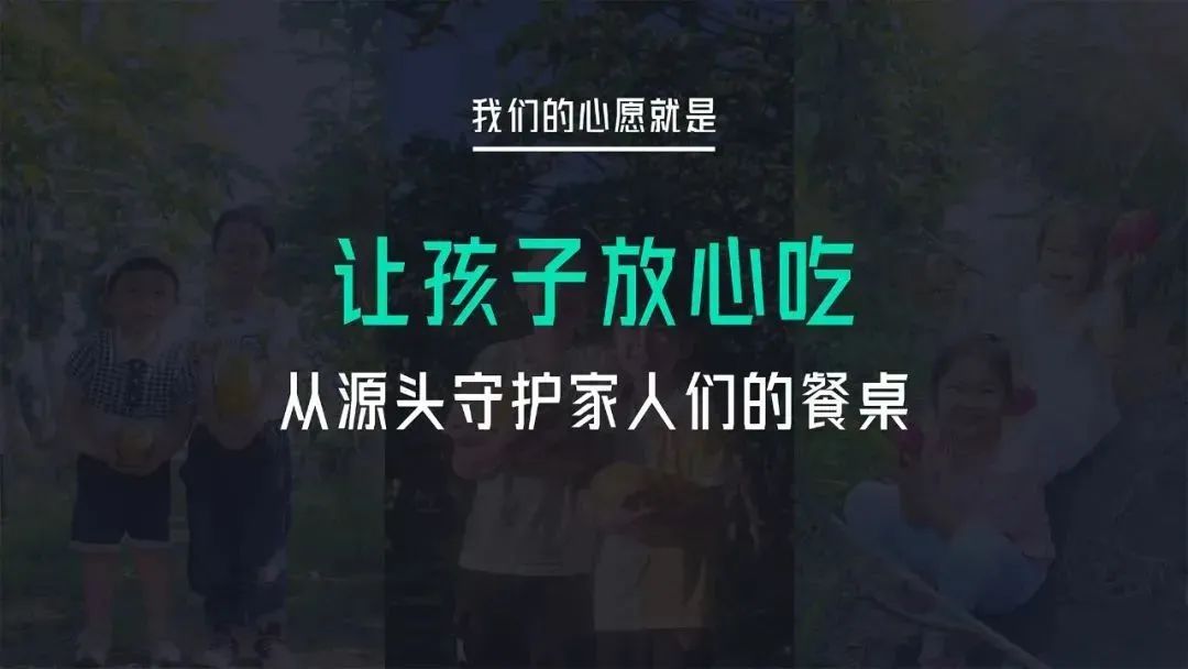 天猫商家转型记：放弃百万库存，我在远方好物赚3倍利润