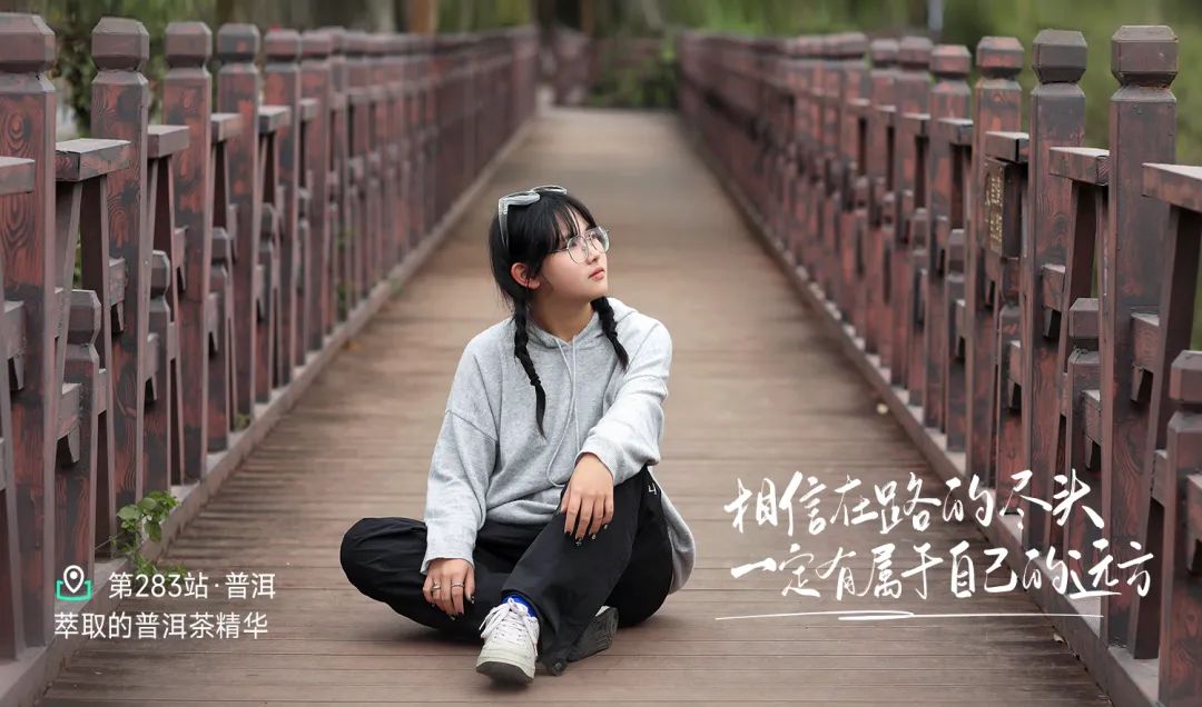 帝泊洱萃取普洱茶精华：科技赋能茶中瑰宝