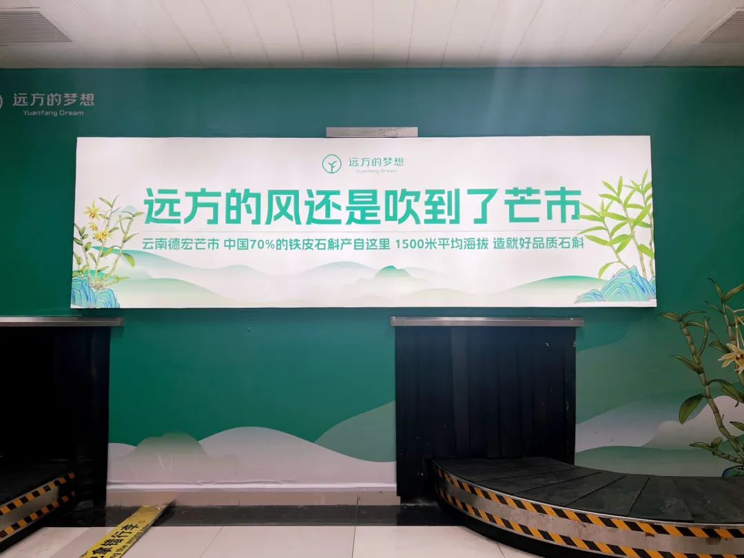 探秘石斛之乡铁皮石斛原浆原料基地溯源之旅