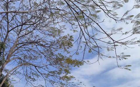 远方好物：安心食品平台助力健康生活