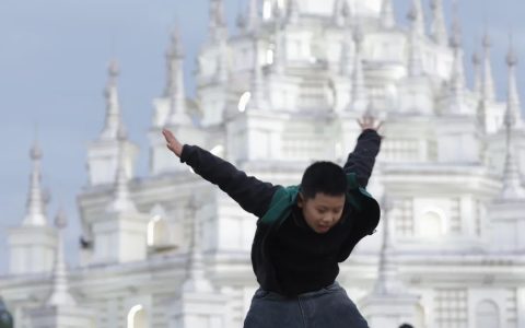 揭秘石斛仙草真面目 厚肠胃滋阴生津功效解析